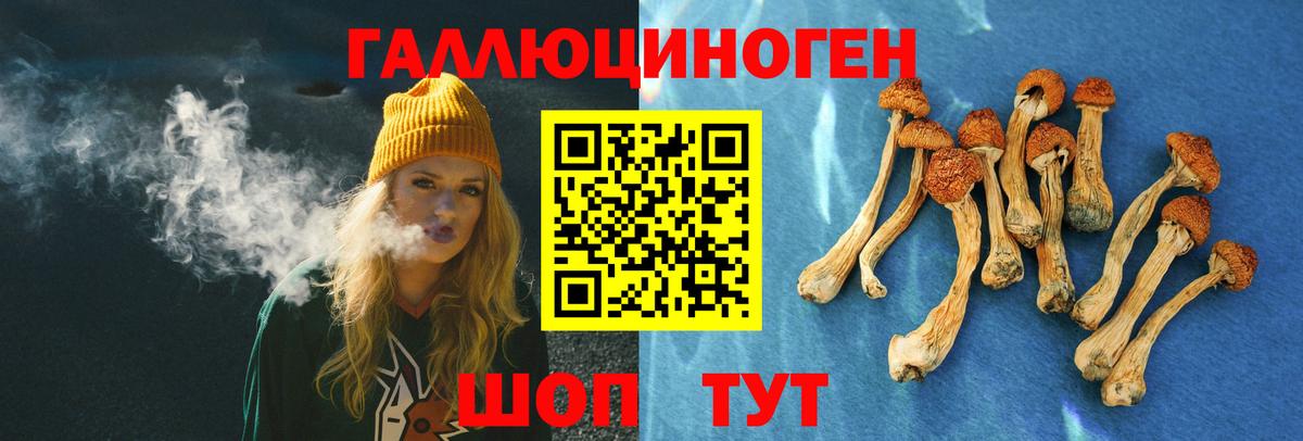 Псилоцибиновые грибы Psilocybine cubensis Черкесск